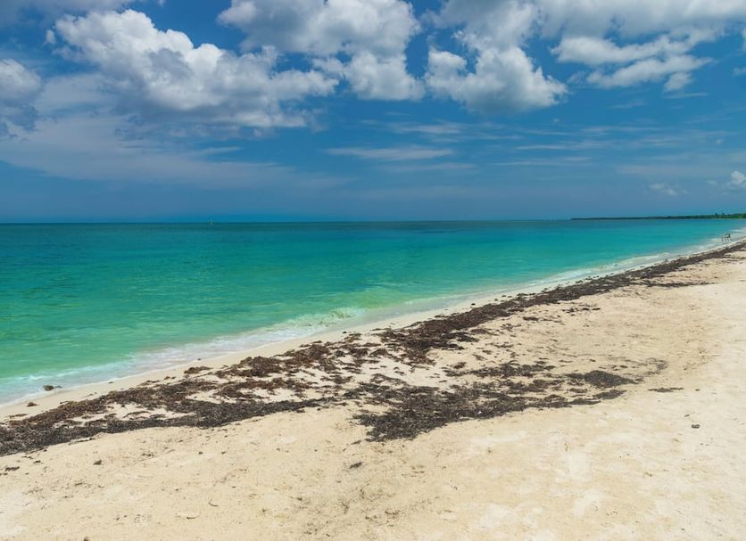 Playa Foto