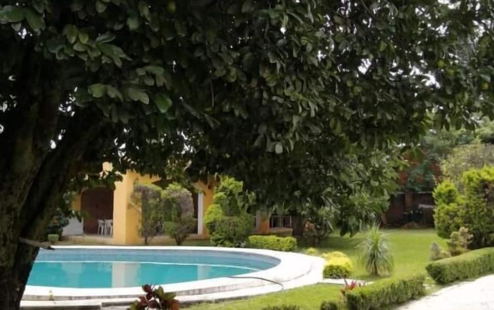 Alberca Foto