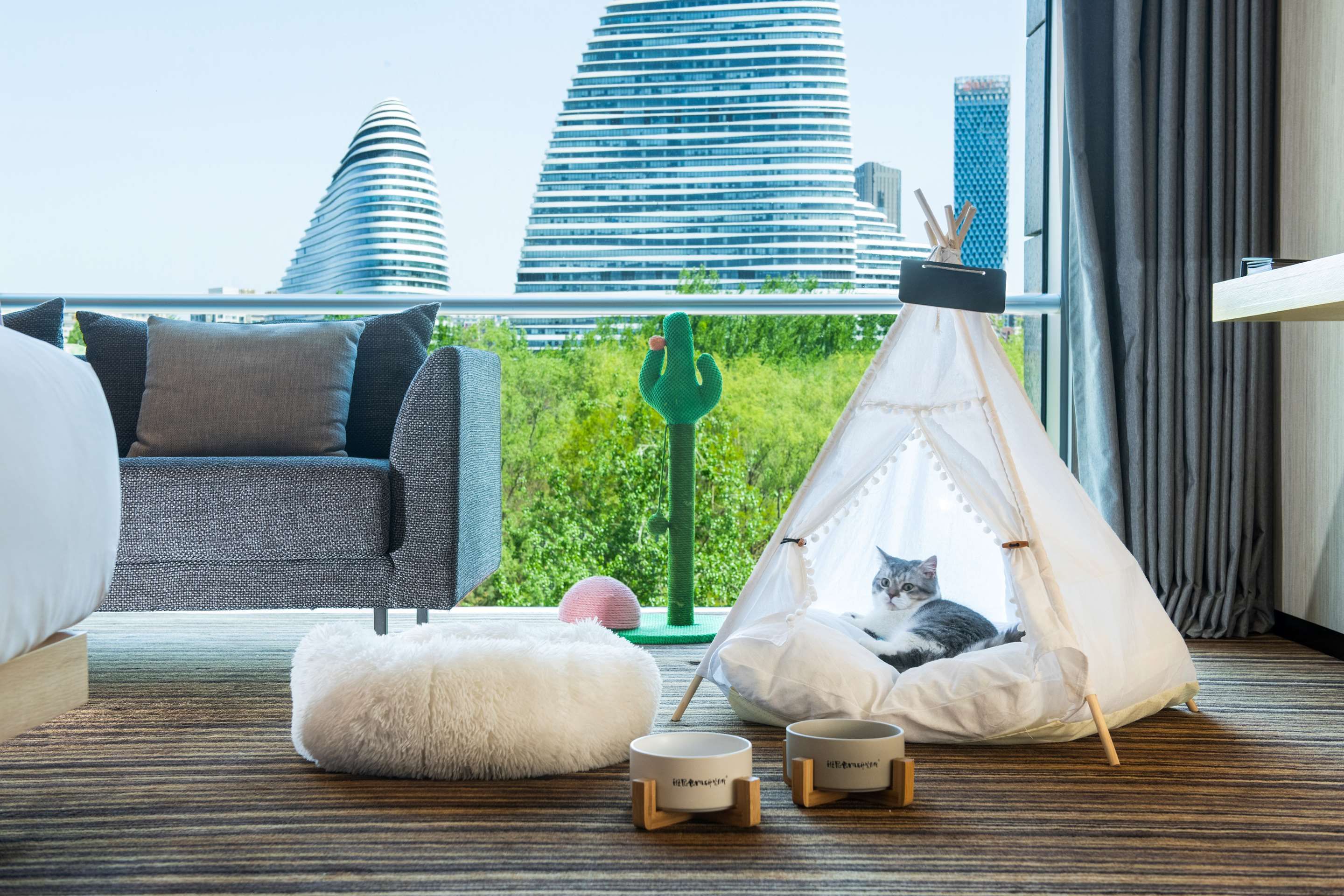 Habitación