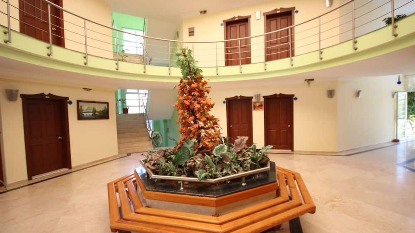 Imagen principal