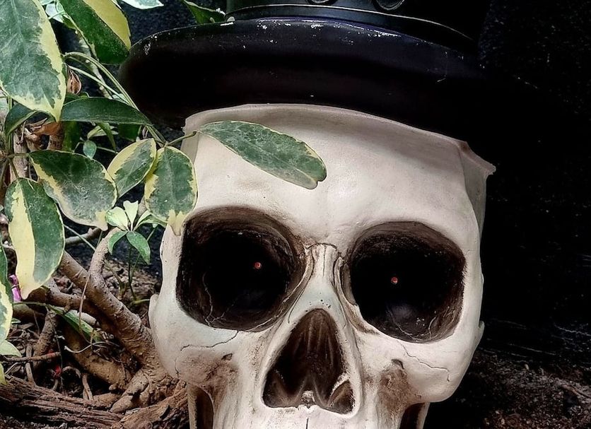 Otro Foto