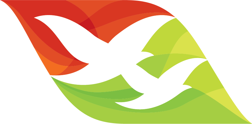 Air Seychelles