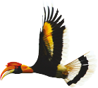 Kan Air